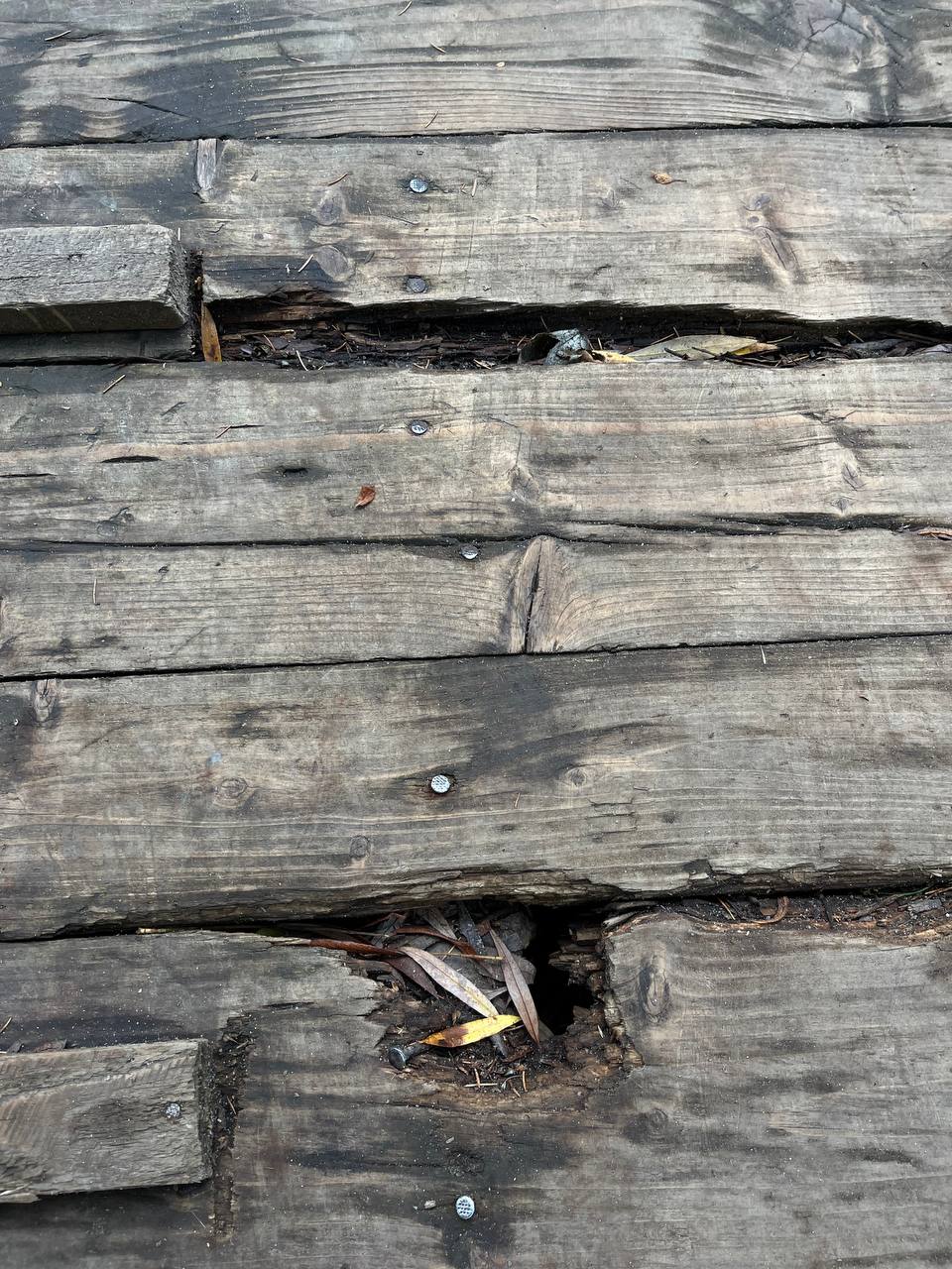 Новини Тернополя - фото з Через дірки вже видно водойму: коли у парку «Сопільче» відремонтують міст