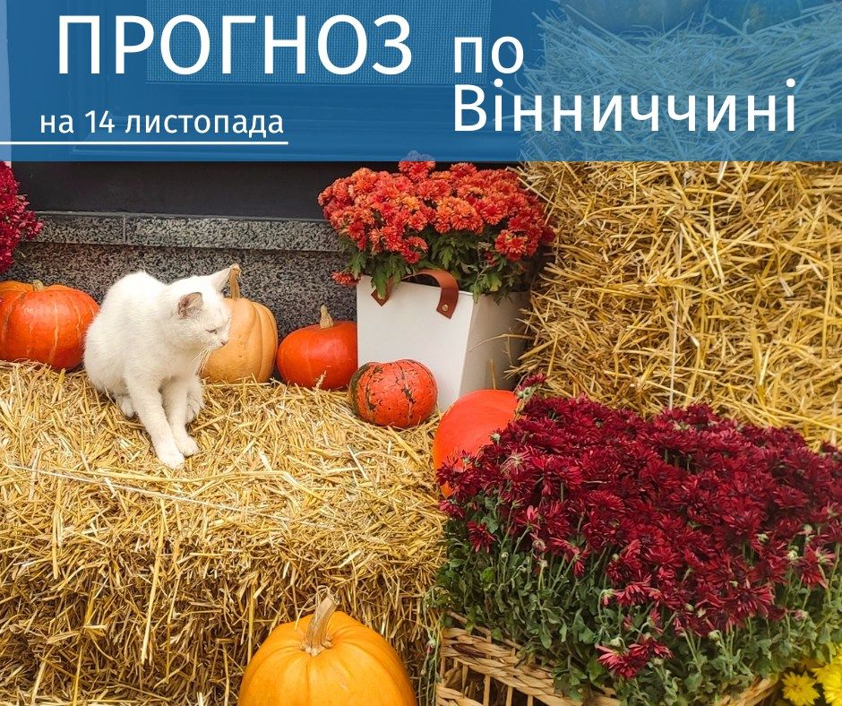 Новини Козятина - фото з «Різкого похолодання на цьому тижні не видно. Скоріше вже після 20-22 листопада»