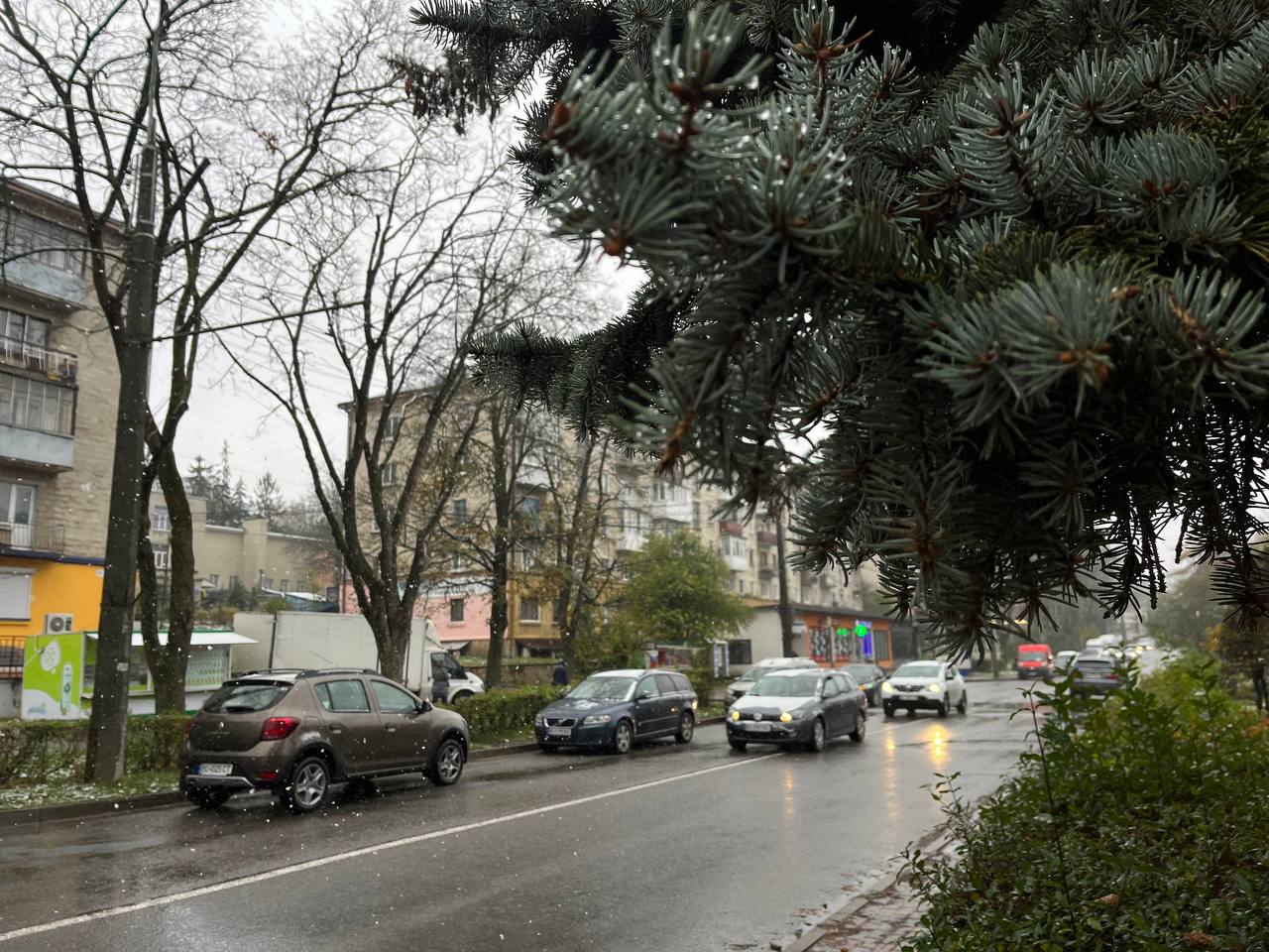 Новини Тернополя - фото з У Тернополі — перший сніг: як виглядає місто та що прогнозують синоптики