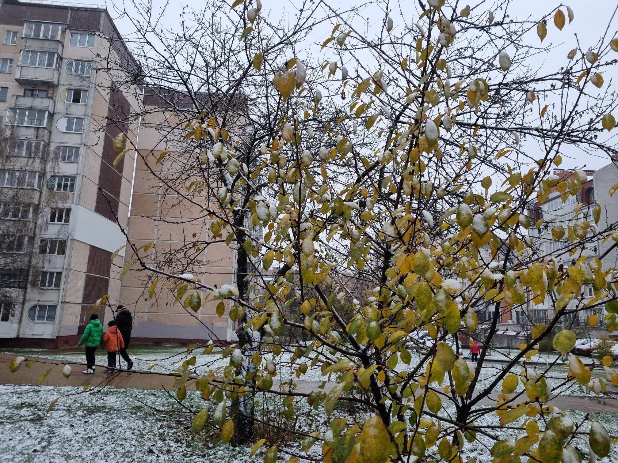 Новини Тернополя - фото з У Тернополі — перший сніг: як виглядає місто та що прогнозують синоптики