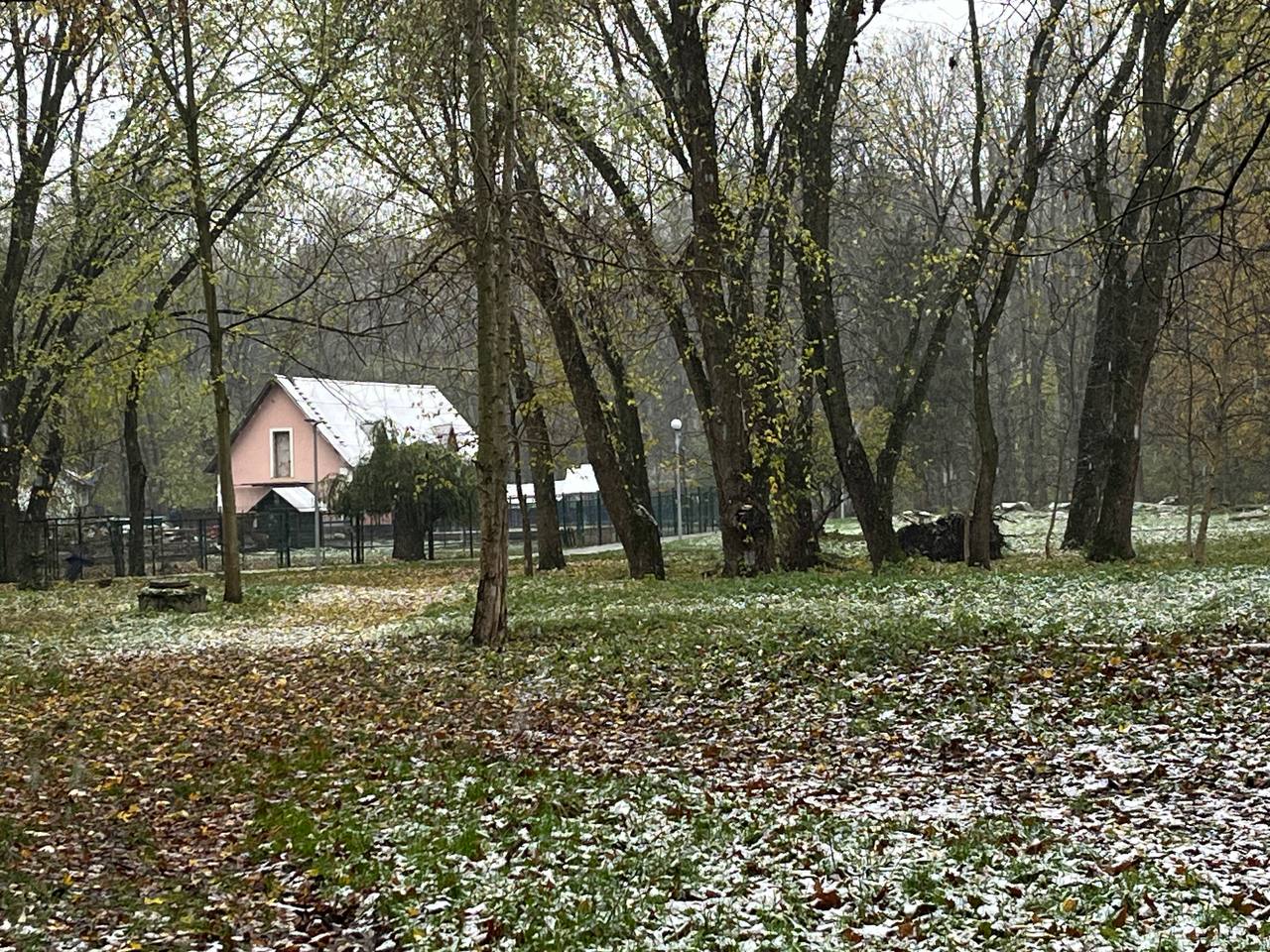Новини Тернополя - фото з У Тернополі — перший сніг: як виглядає місто та що прогнозують синоптики