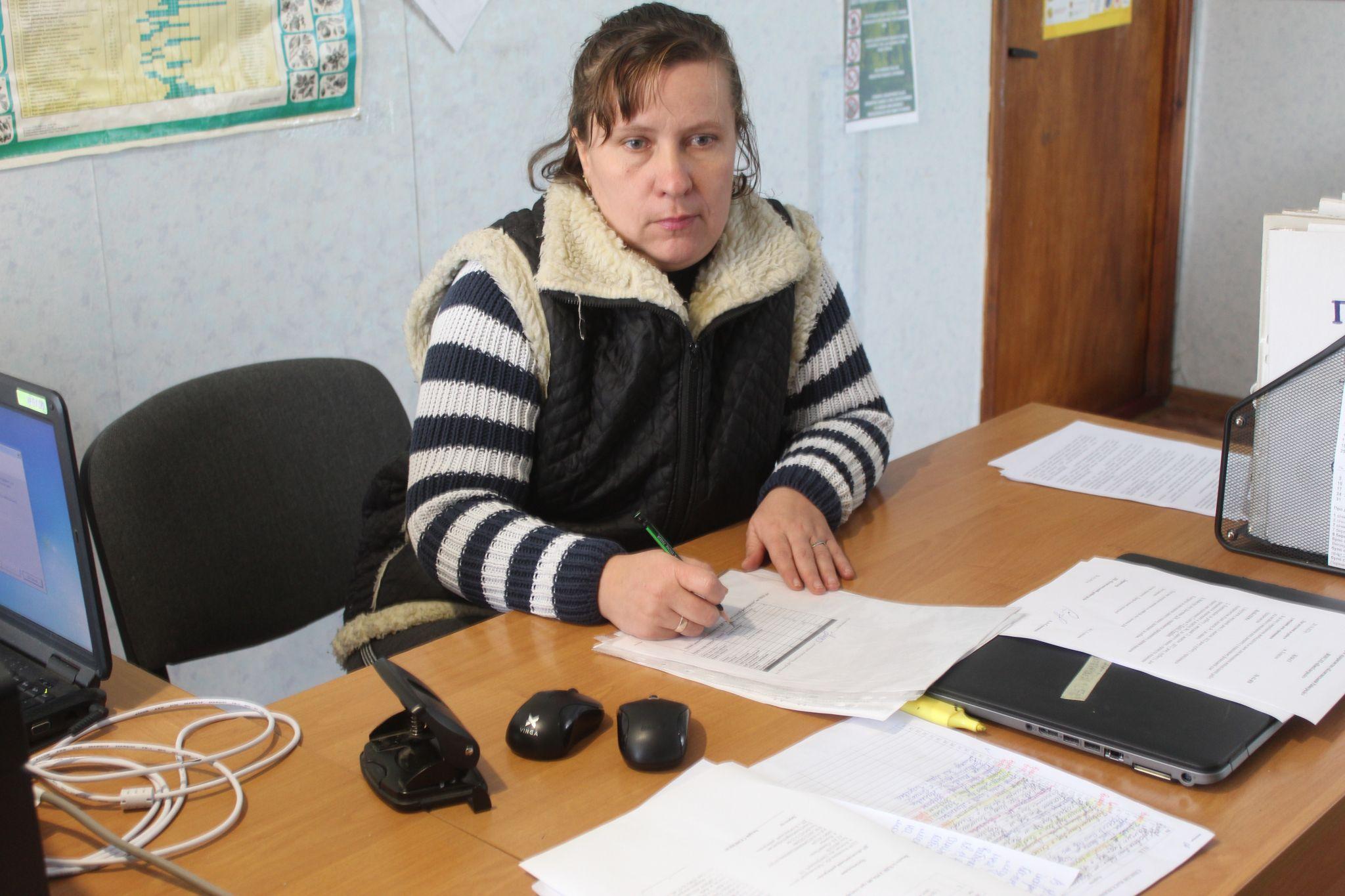 Новини Козятина - фото з У Махаринецькому лісі йде санітарна рубка дерев