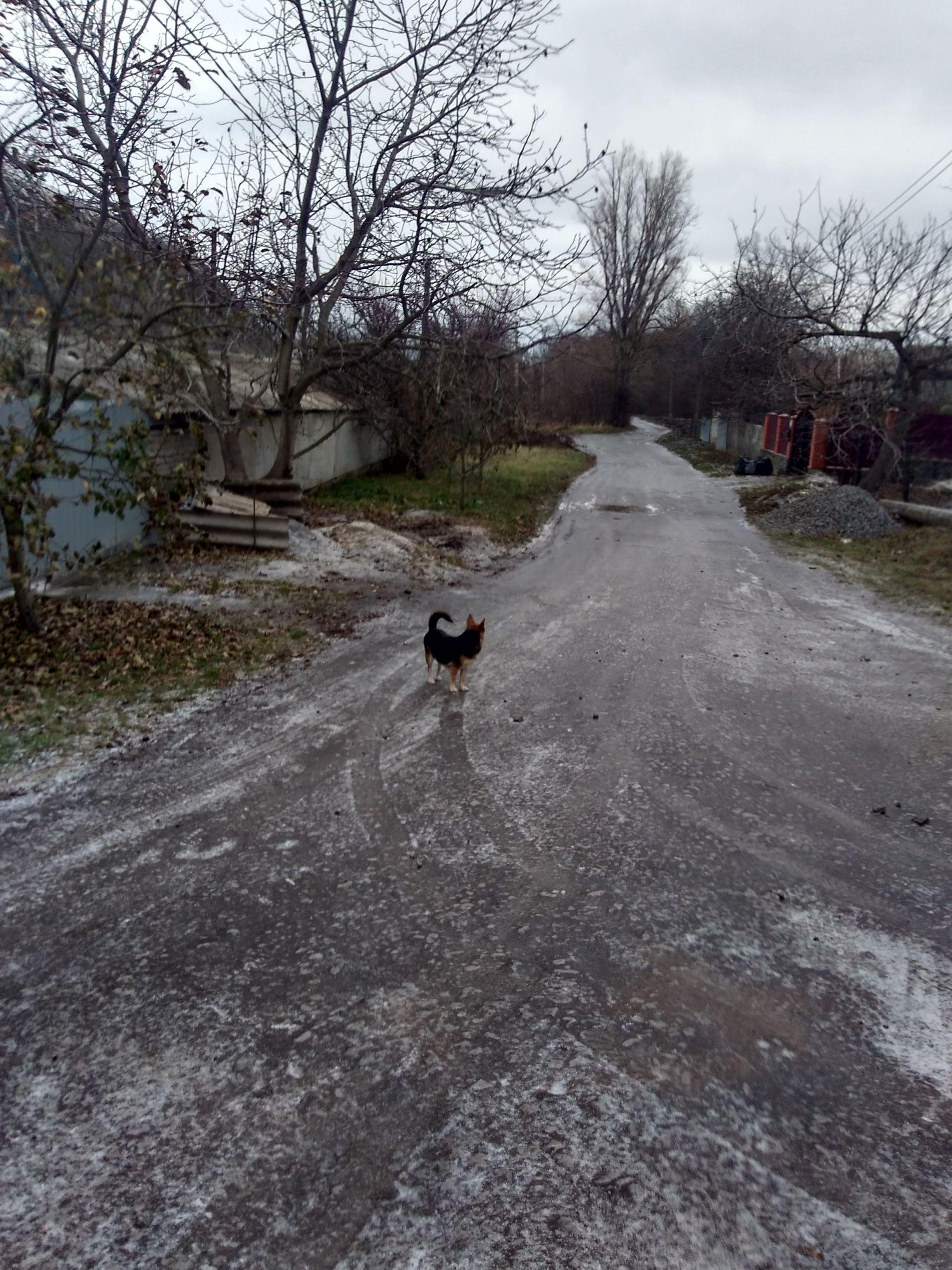 Новини Козятина - фото з Зранку, ще було більш-менш, а після обіду можна було тільки поспівчувати перехожим