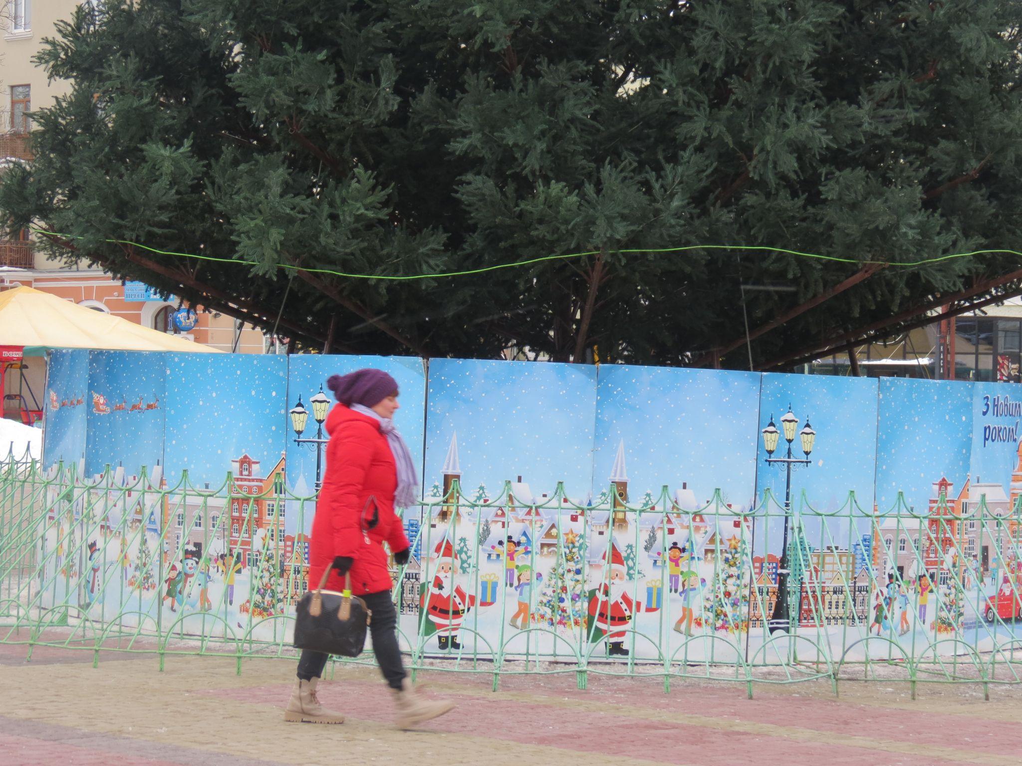 Новини Тернополя - фото з На Театральному майдані Тернополя встановили головну ялинку міста: який вигляд має