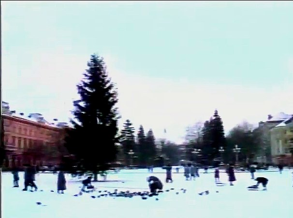 Новини Тернополя - фото з Як змінювалась головна новорічна ялинка Тернополя: дивіться підбірку фото