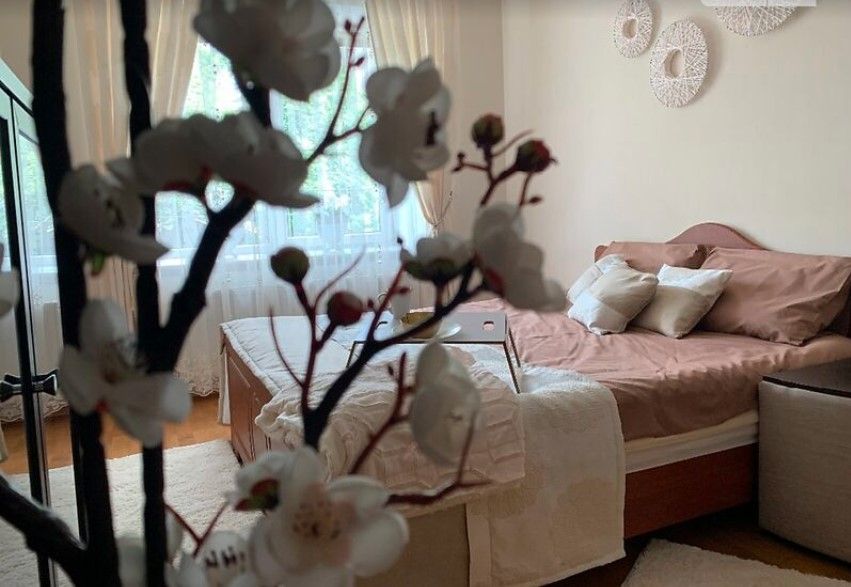 Новини Тернополя - фото з Скільки коштує орендувати квартиру на Новий рік у Тернополі й Карпатах? Ми дізнались