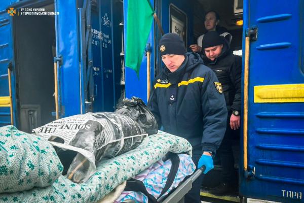 Новини Тернополя - фото з Тернопільщина зустріла ще один потяг із прифронтових областей