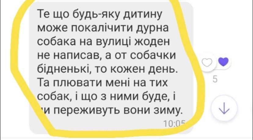 Новини Вінниці - фото з В Зарванцях жорстоко отруїли собак. Як все сталося та чому це небезпечно і для людей?