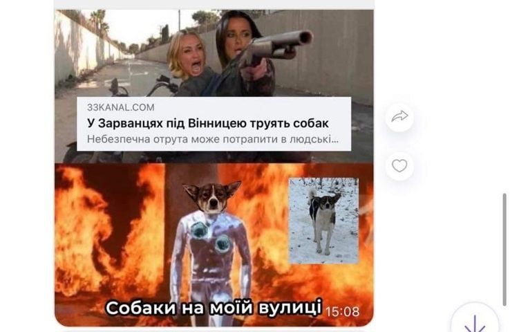 Новини Вінниці - фото з В Зарванцях жорстоко отруїли собак. Як все сталося та чому це небезпечно і для людей?