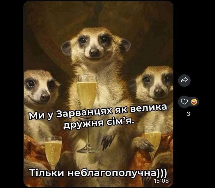 Новини Вінниці - фото з В Зарванцях жорстоко отруїли собак. Як все сталося та чому це небезпечно і для людей?