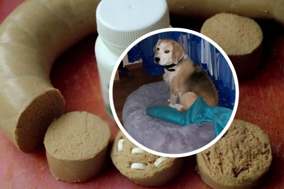 Новини Вінниці - фото з ТОП важливих новин на «20 хвилин» від 4 до 11 грудня, які ви могли пропустити