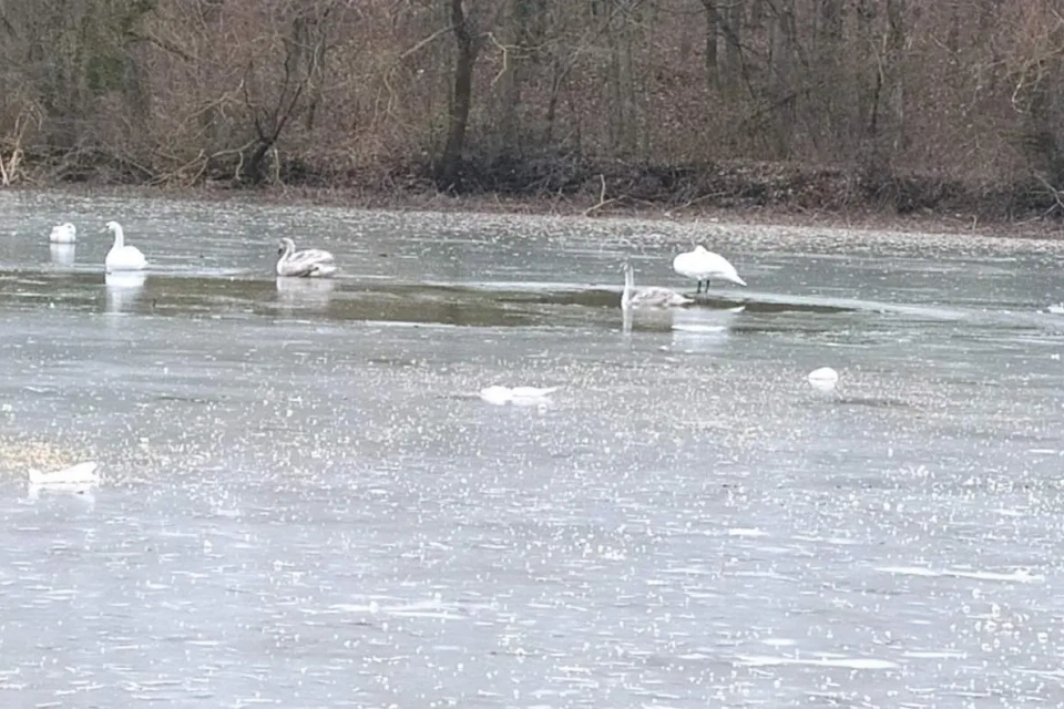 Новини Вінниці - фото з ТОП важливих новин на «20 хвилин» від 4 до 11 грудня, які ви могли пропустити