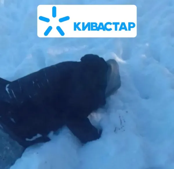 Новини Тернополя - фото з Через два-три тижні: як українці жартують над атакою на Київстар