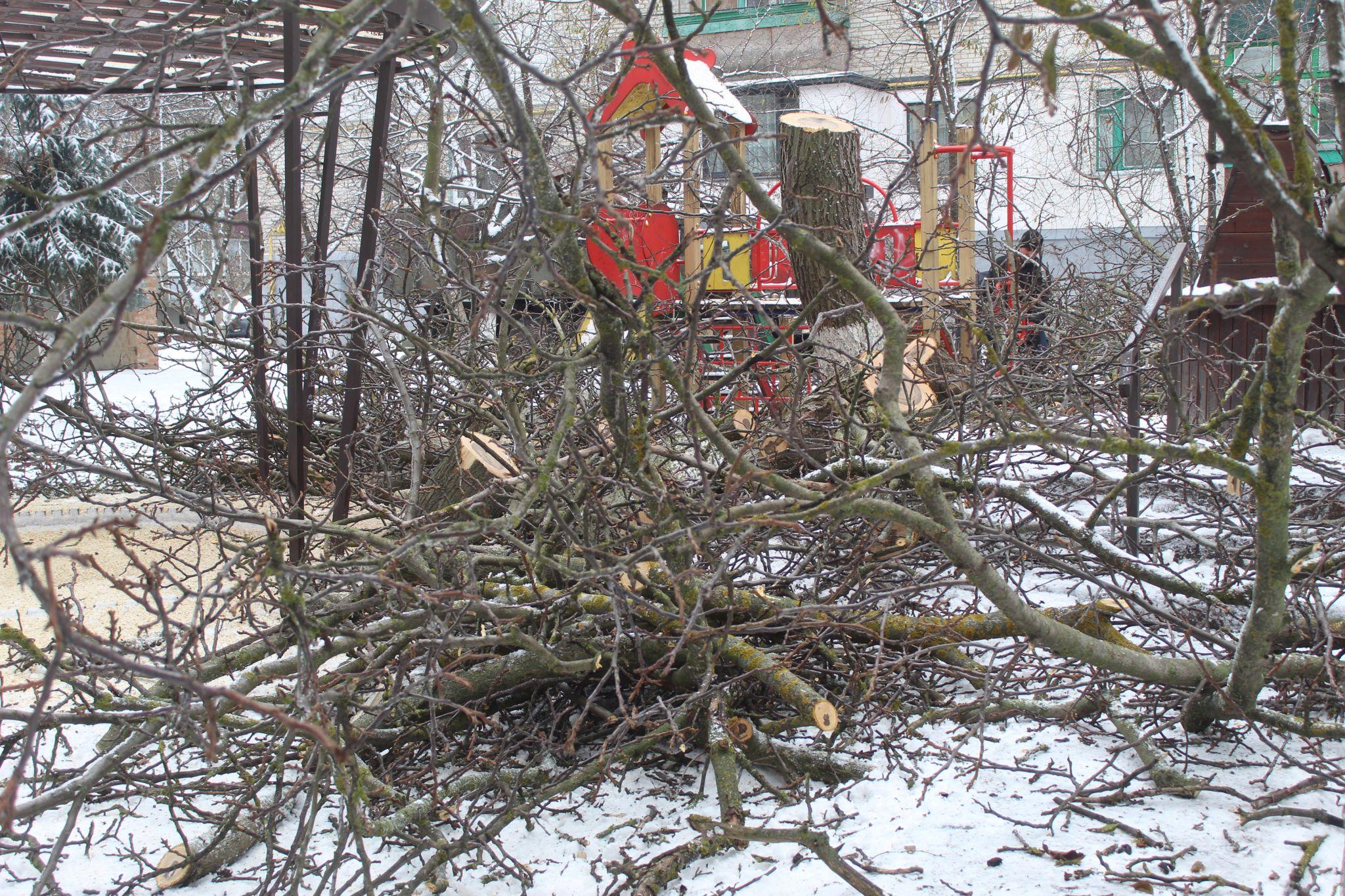 Новини Козятина - фото з Всі — «за», а жінка з сусіднього будинку — «проти»