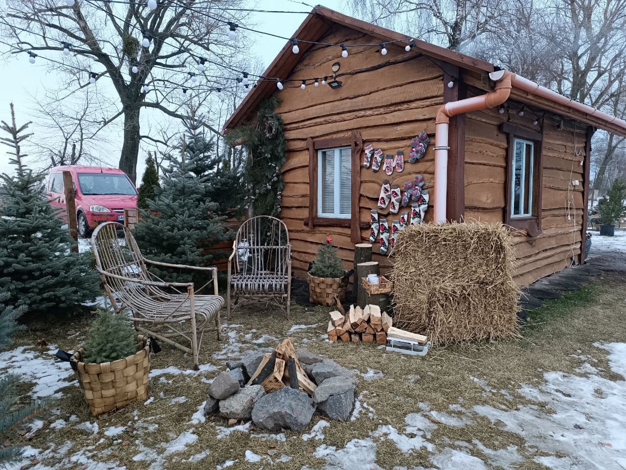 Новини Вінниці - фото з Від 100 гривень до 12 тисяч. Де і за скільки можна купити живу ялинку у Вінниці?