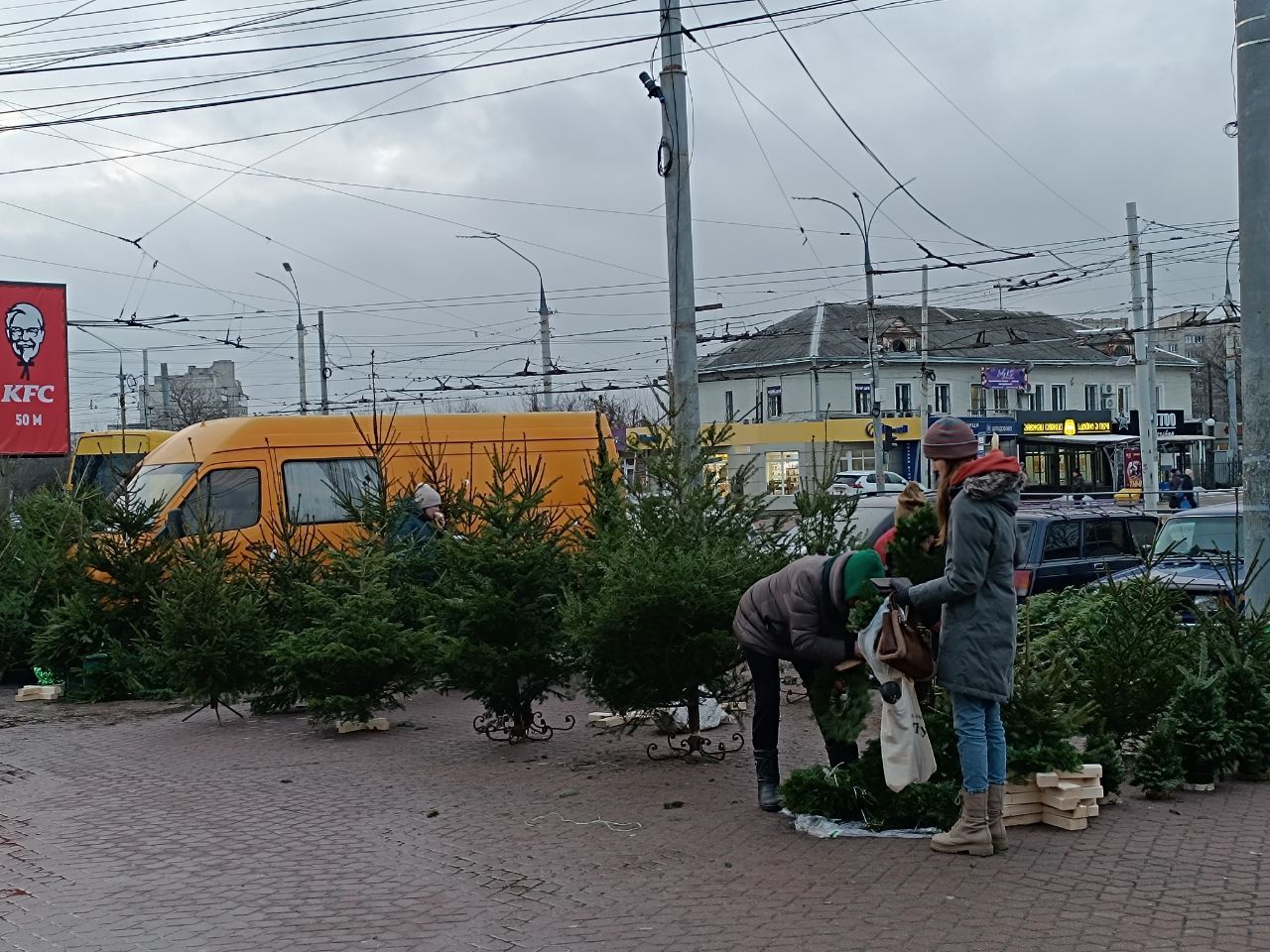 Новини Вінниці - фото з Від 100 гривень до 12 тисяч. Де і за скільки можна купити живу ялинку у Вінниці?