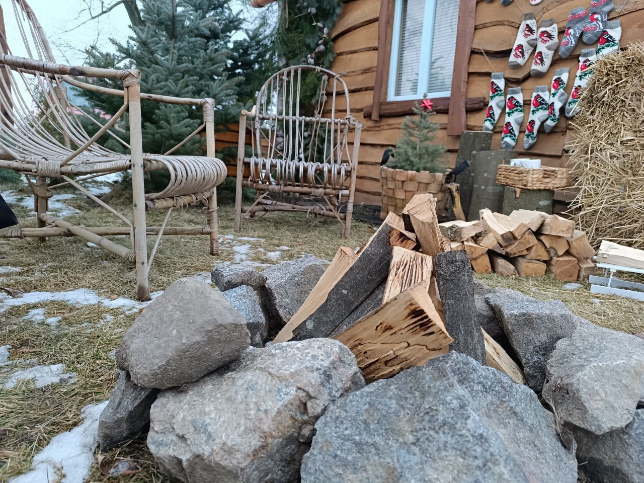 Новини Вінниці - фото з Від 100 гривень до 12 тисяч. Де і за скільки можна купити живу ялинку у Вінниці?