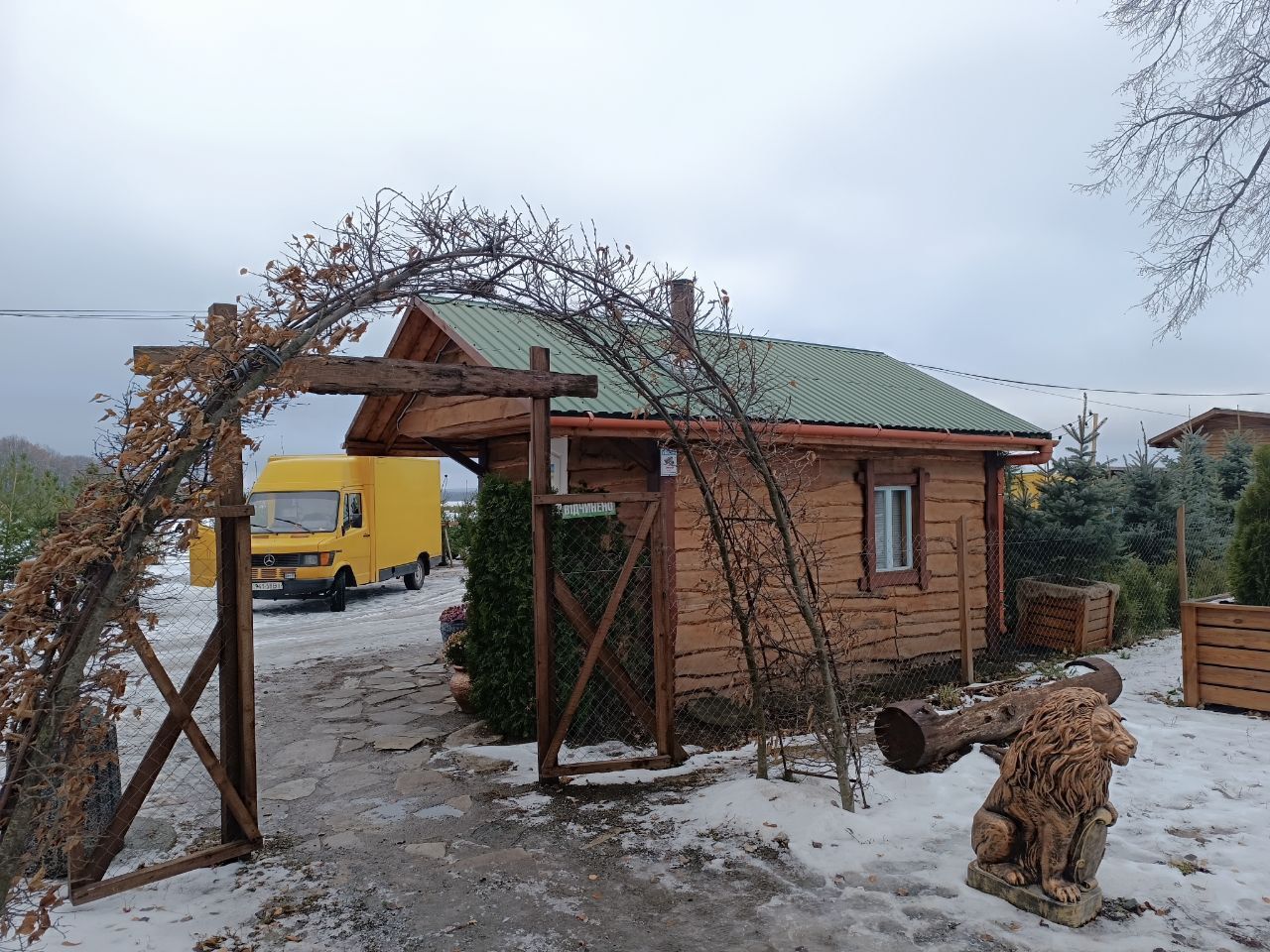 Новини Вінниці - фото з Від 100 гривень до 12 тисяч. Де і за скільки можна купити живу ялинку у Вінниці?