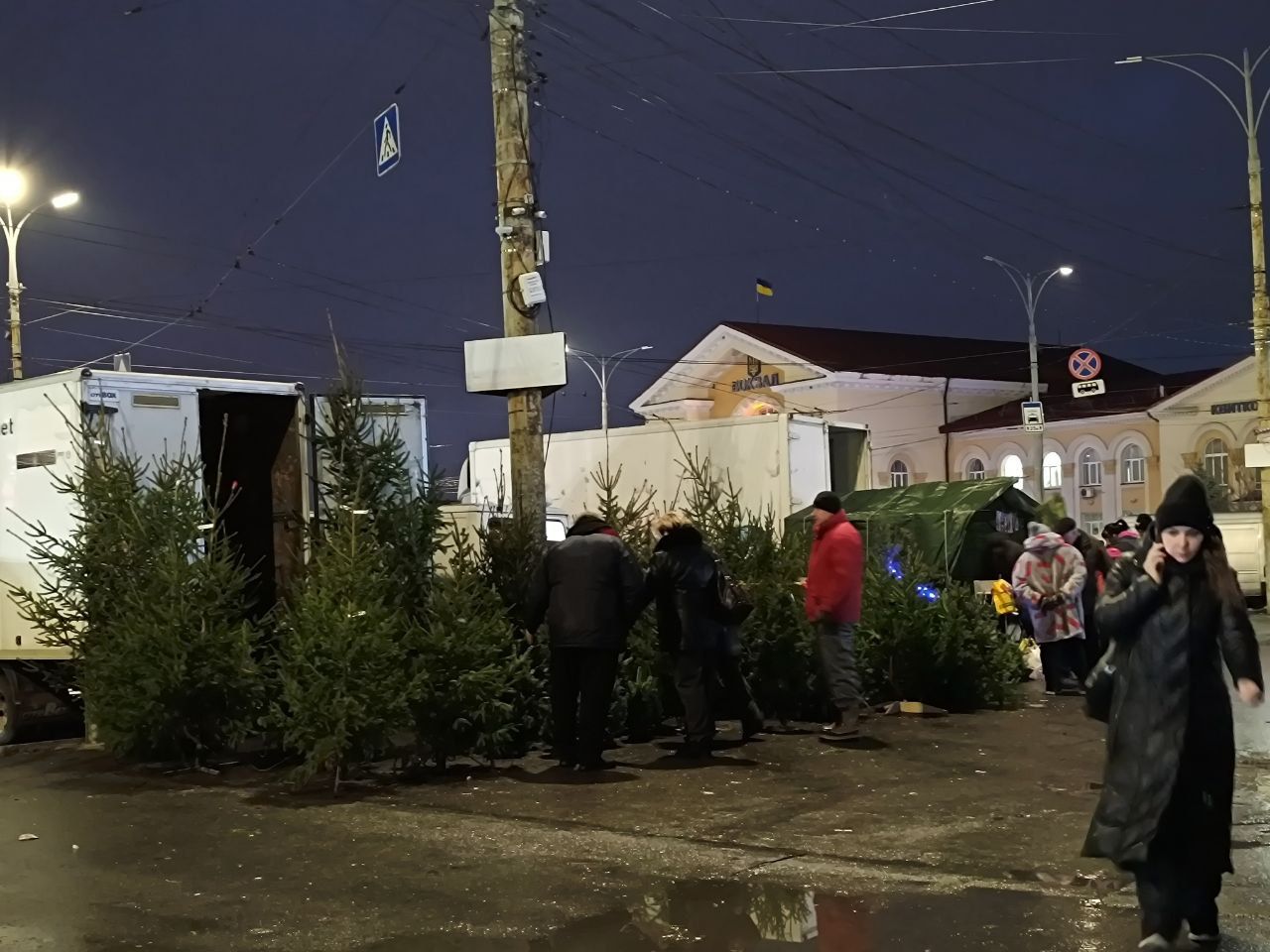 Новини Вінниці - фото з Від 100 гривень до 12 тисяч. Де і за скільки можна купити живу ялинку у Вінниці?