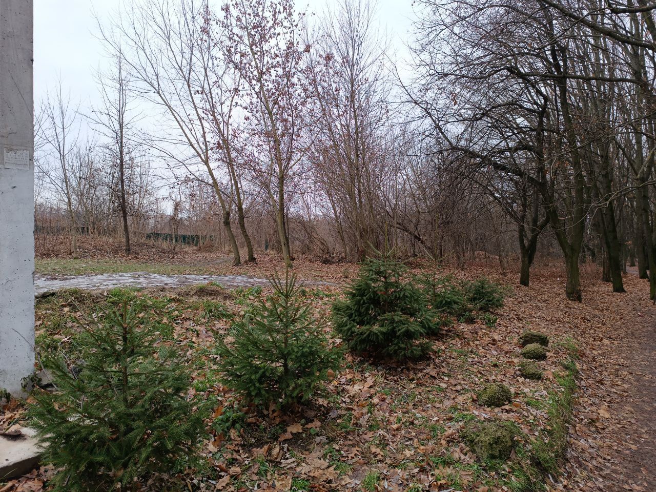 Новини Вінниці - фото з Створення «Парку Героїв» у Вінниці поставили на паузу: що це за проєкт і коли відновлять роботи