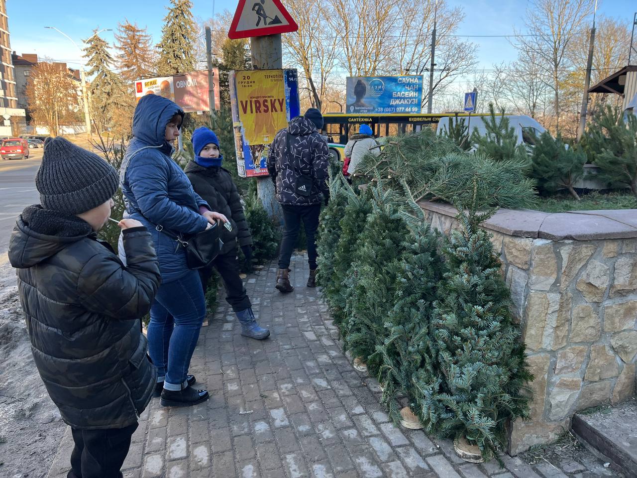 Новини Тернополя - фото з Скільки коштують ялинки та чи легально їх продають у Тернополі: перевірили журналісти «20 хвилин»