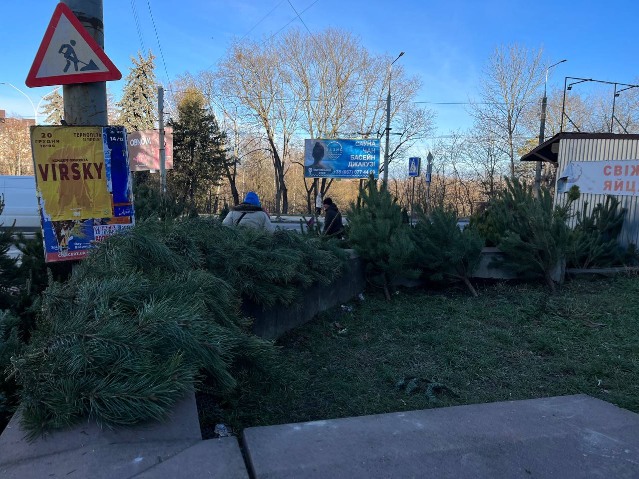 Новини Тернополя - фото з Скільки коштують ялинки та чи легально їх продають у Тернополі: перевірили журналісти «20 хвилин»