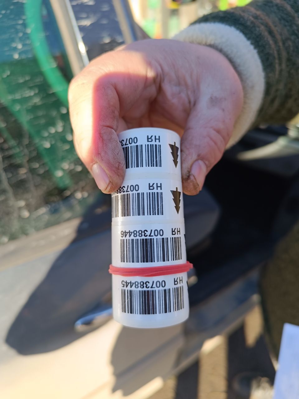 Новини Тернополя - фото з Скільки коштують ялинки та чи легально їх продають у Тернополі: перевірили журналісти «20 хвилин»