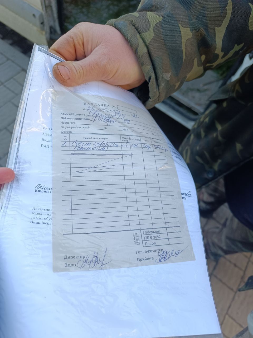 Новини Тернополя - фото з Скільки коштують ялинки та чи легально їх продають у Тернополі: перевірили журналісти «20 хвилин»