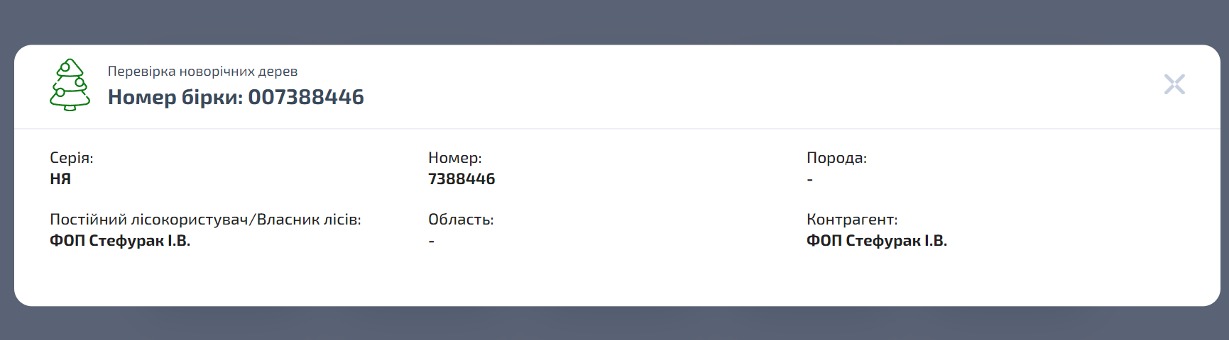 Новини Тернополя - фото з Скільки коштують ялинки та чи легально їх продають у Тернополі: перевірили журналісти «20 хвилин»