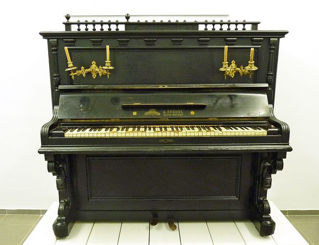 Новини Вінниці - фото з Добірка цікавих фактів про всесвітньовідомий «Щедрик» Леонтовича яких ви, ймовірно, не знали