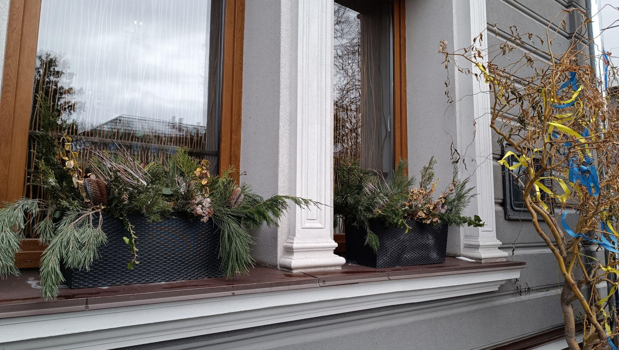 Новини Тернополя - фото з Тернопіль різдвяно-новорічний – як прикрасили місто до зимових свят (ФОТОРЕПОРТАЖ)