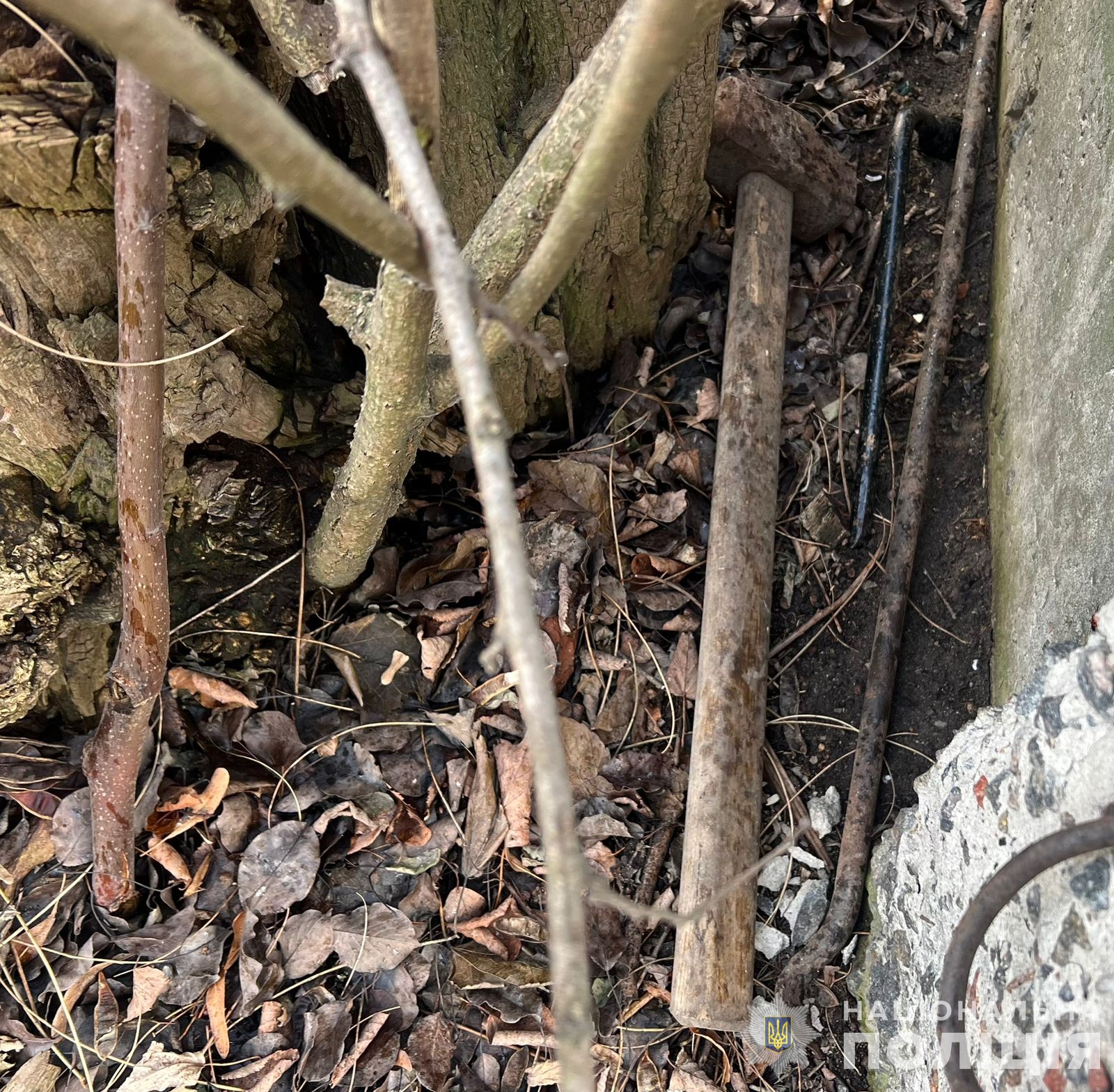 розбивали вікна магазинів та викрадали гроші: вінницькі оперативники та спецпризначенці корду затримали групу зловмисників