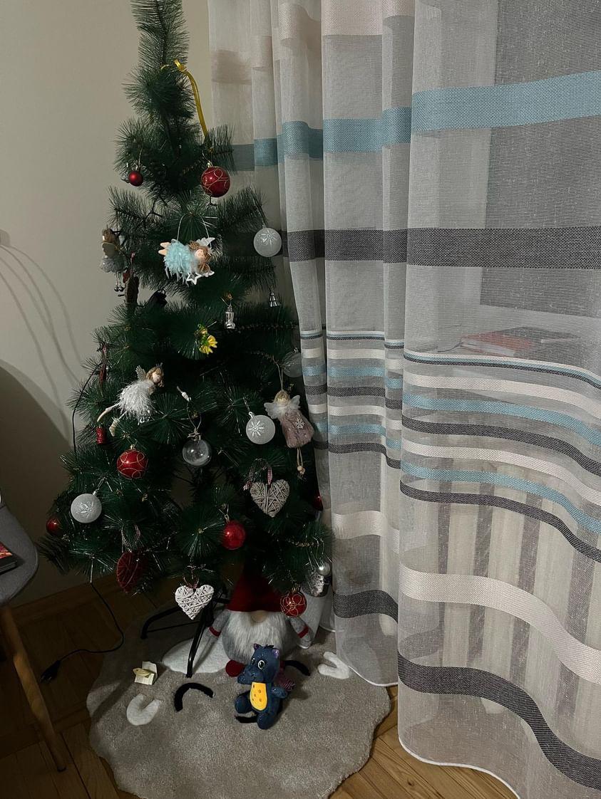 Новини Тернополя - фото з З іграшками ручної роботи, гірляндами і вишивкою: як тернополяни прикрасили ялинки?