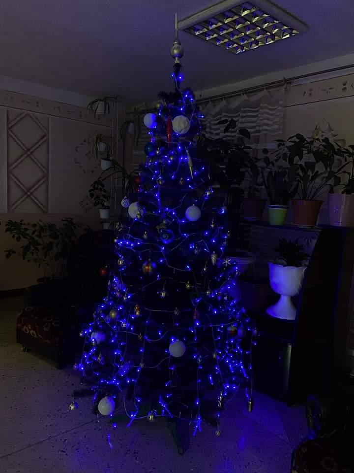 Новини Тернополя - фото з З іграшками ручної роботи, гірляндами і вишивкою: як тернополяни прикрасили ялинки?