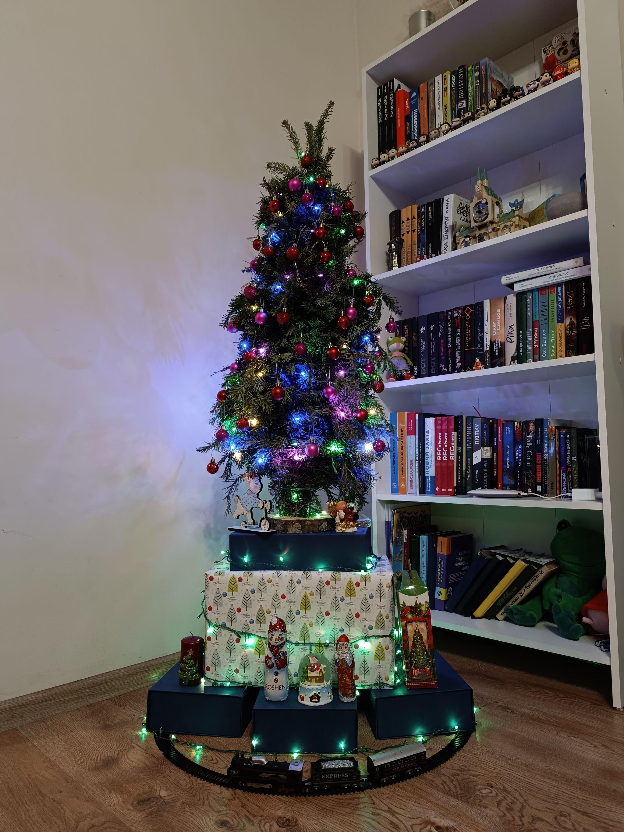 Новини Тернополя - фото з З іграшками ручної роботи, гірляндами і вишивкою: як тернополяни прикрасили ялинки?