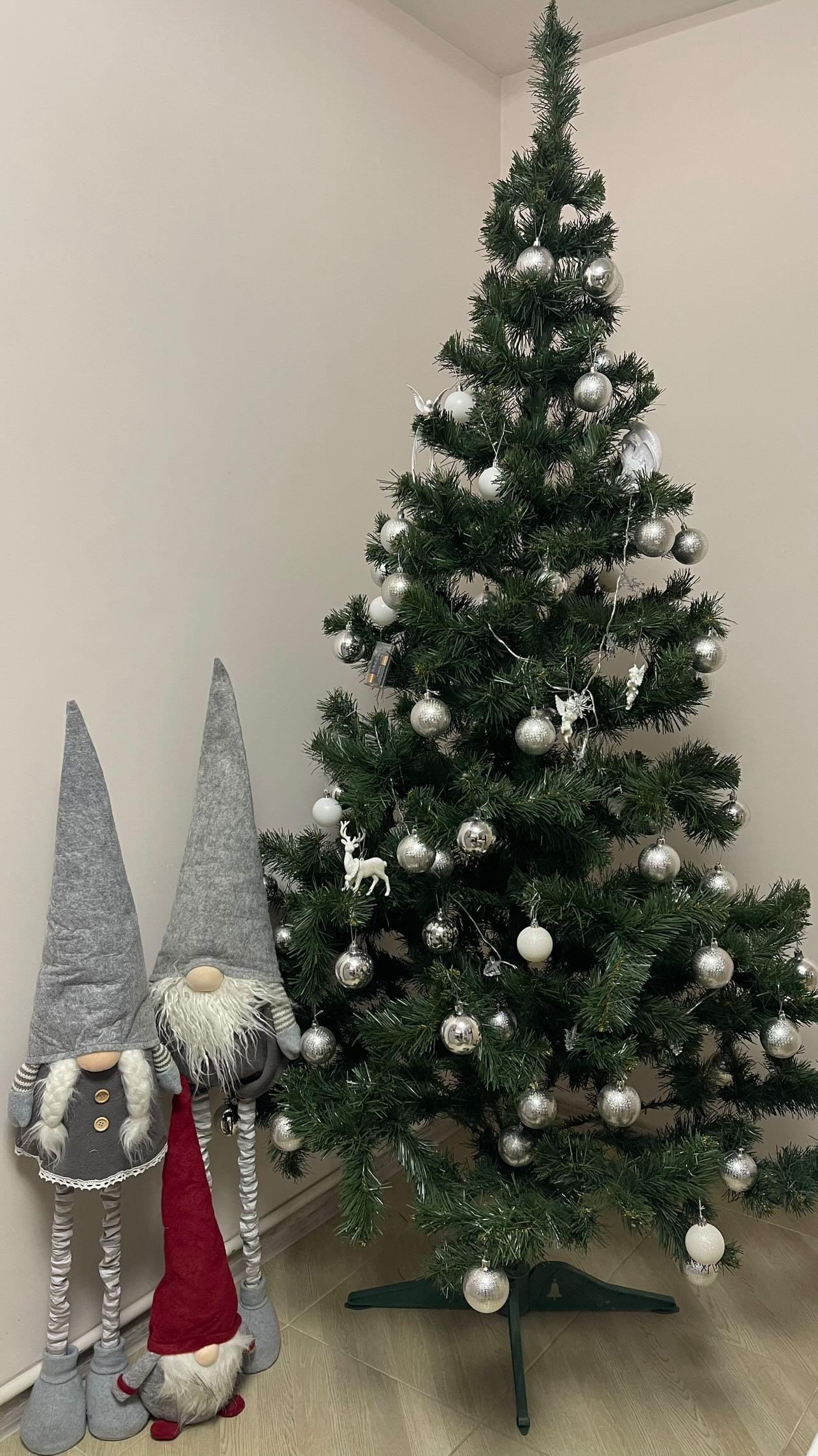 Новини Тернополя - фото з З іграшками ручної роботи, гірляндами і вишивкою: як тернополяни прикрасили ялинки?