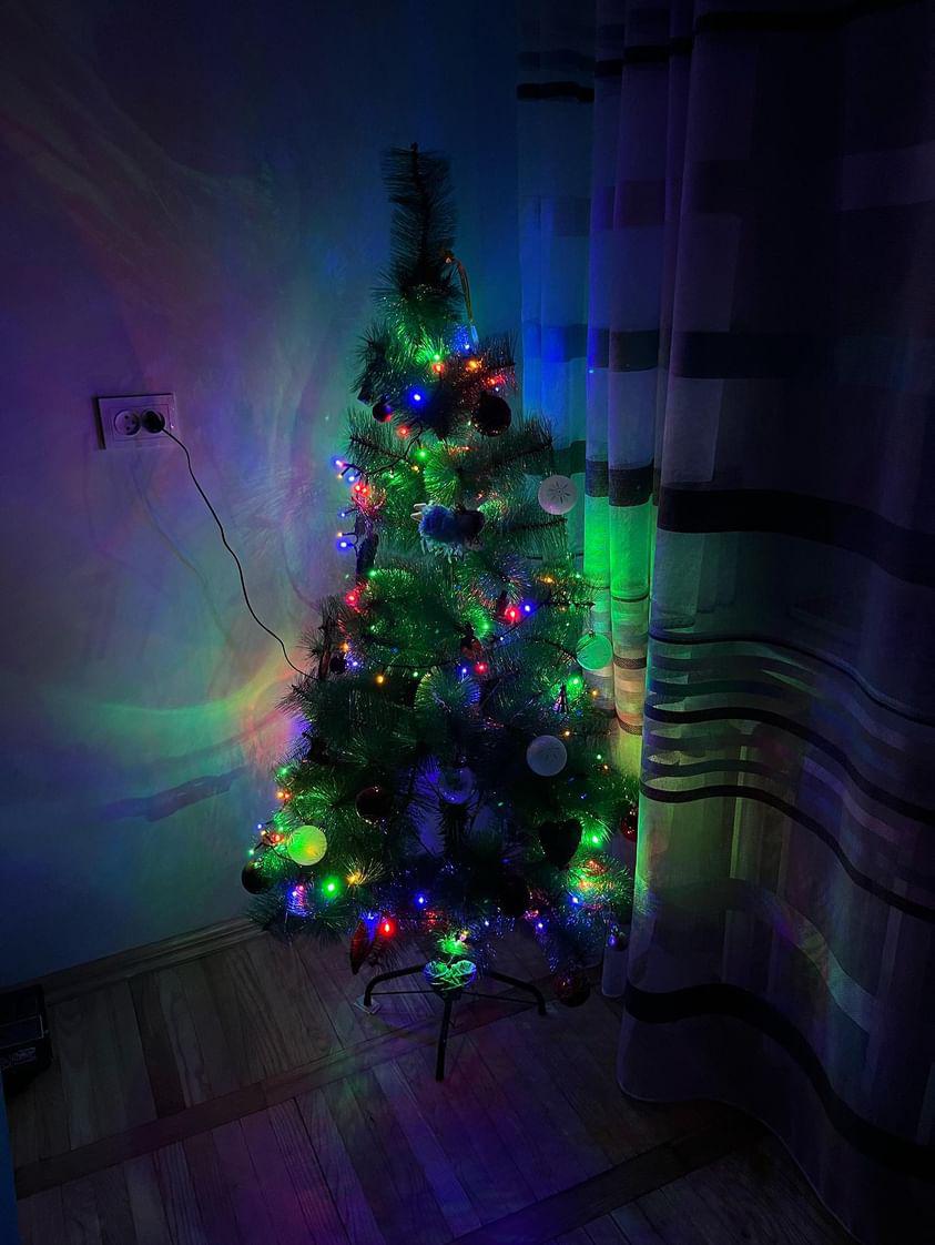 Новини Тернополя - фото з З іграшками ручної роботи, гірляндами і вишивкою: як тернополяни прикрасили ялинки?