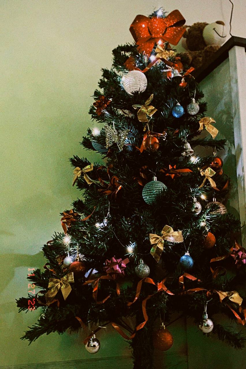 Новини Тернополя - фото з З іграшками ручної роботи, гірляндами і вишивкою: як тернополяни прикрасили ялинки?