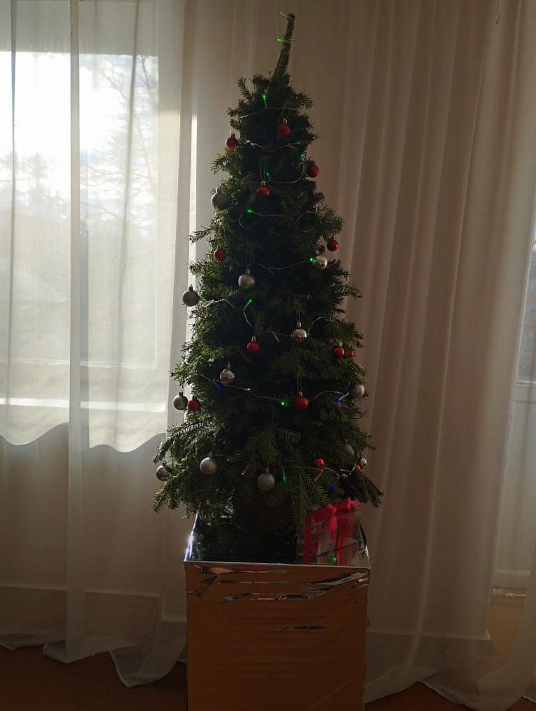 Новини Тернополя - фото з З іграшками ручної роботи, гірляндами і вишивкою: як тернополяни прикрасили ялинки?