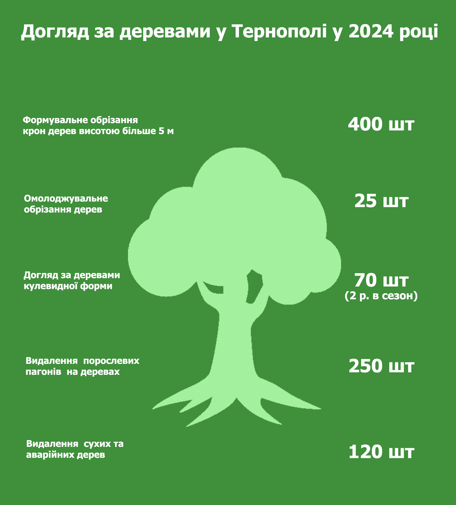 Новини Тернополя - фото з У Тернополі з'являться клумби в кольорах прапорів ЄС, США, Польщі, Великобританії та України