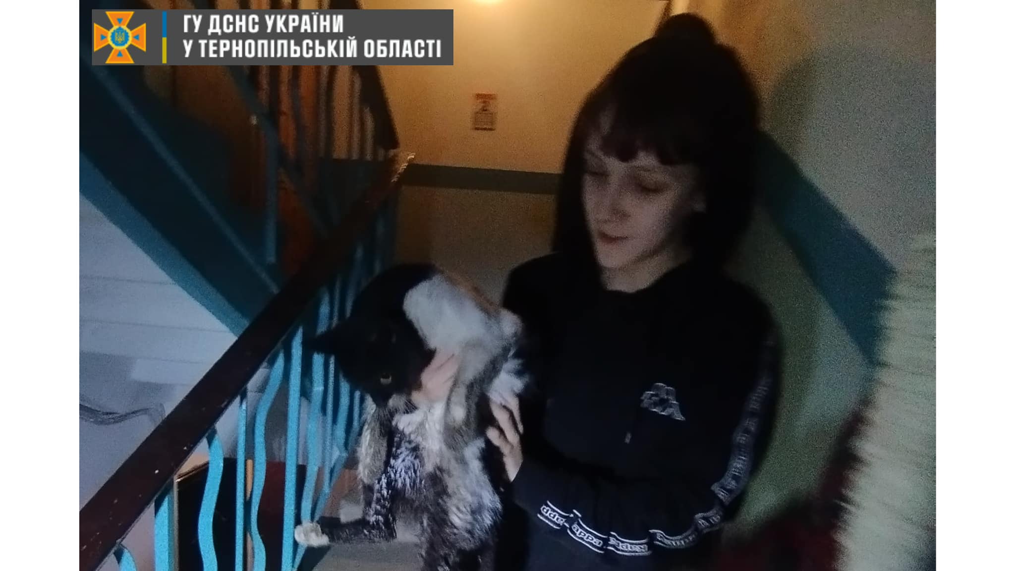 Новини Тернополя - фото з У Тернополі рятувальники визволили кота, який впав у вентиляційну шахту