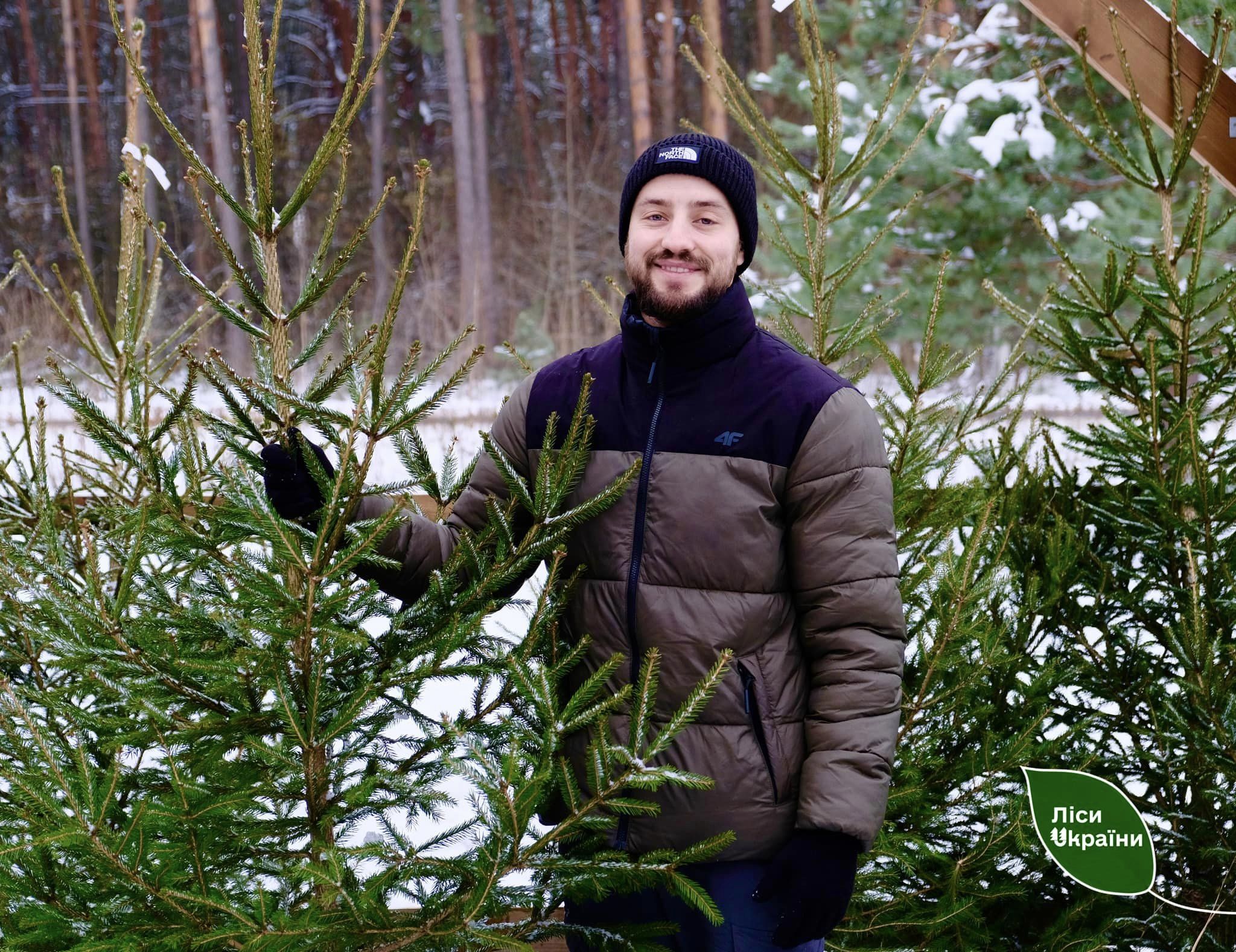 Новини Тернополя - фото з На Тернопільщині за час різдвяно-новорічних свят продали майже 2 тисячі ялинок