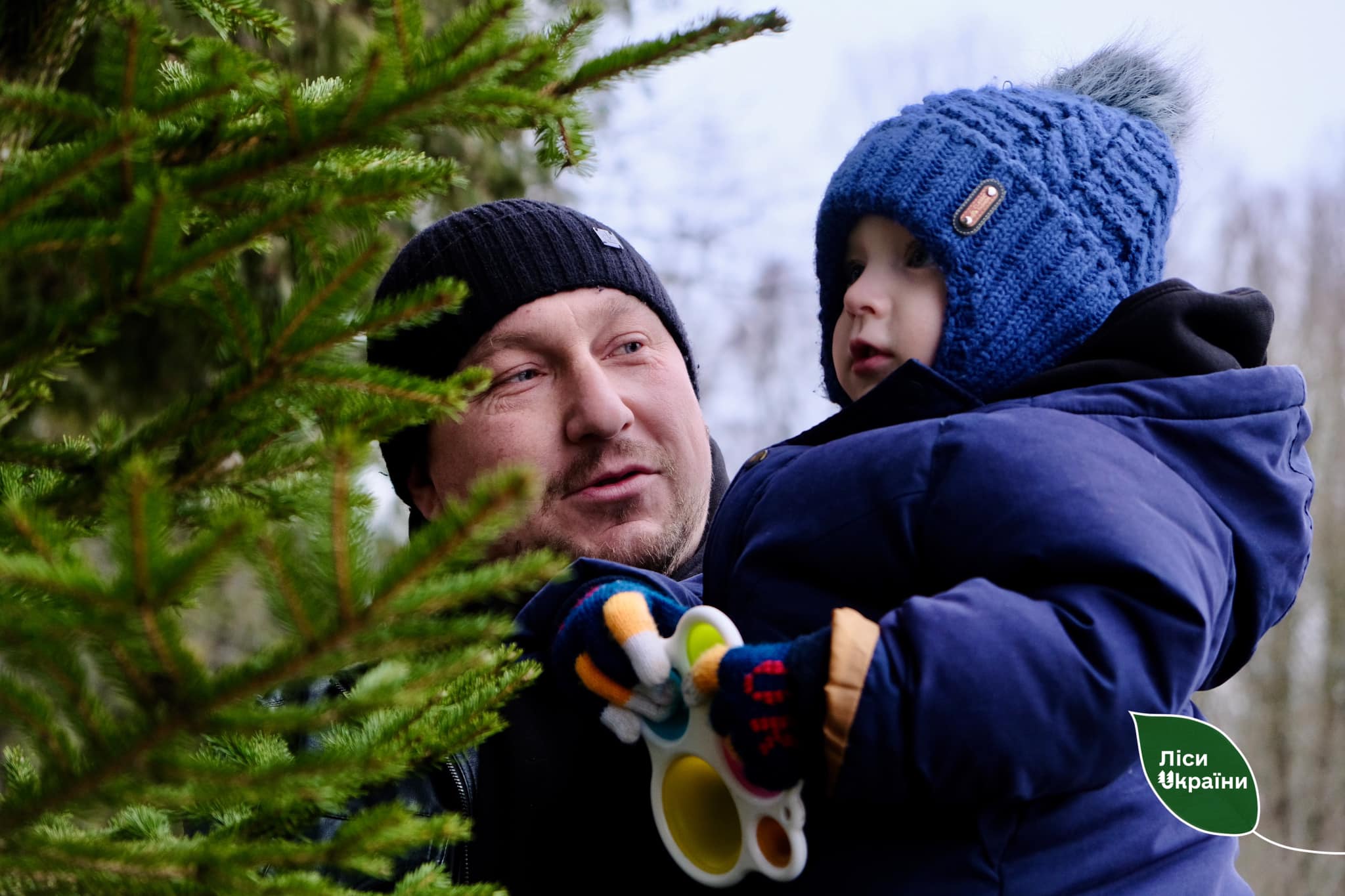 Новини Тернополя - фото з На Тернопільщині за час різдвяно-новорічних свят продали майже 2 тисячі ялинок