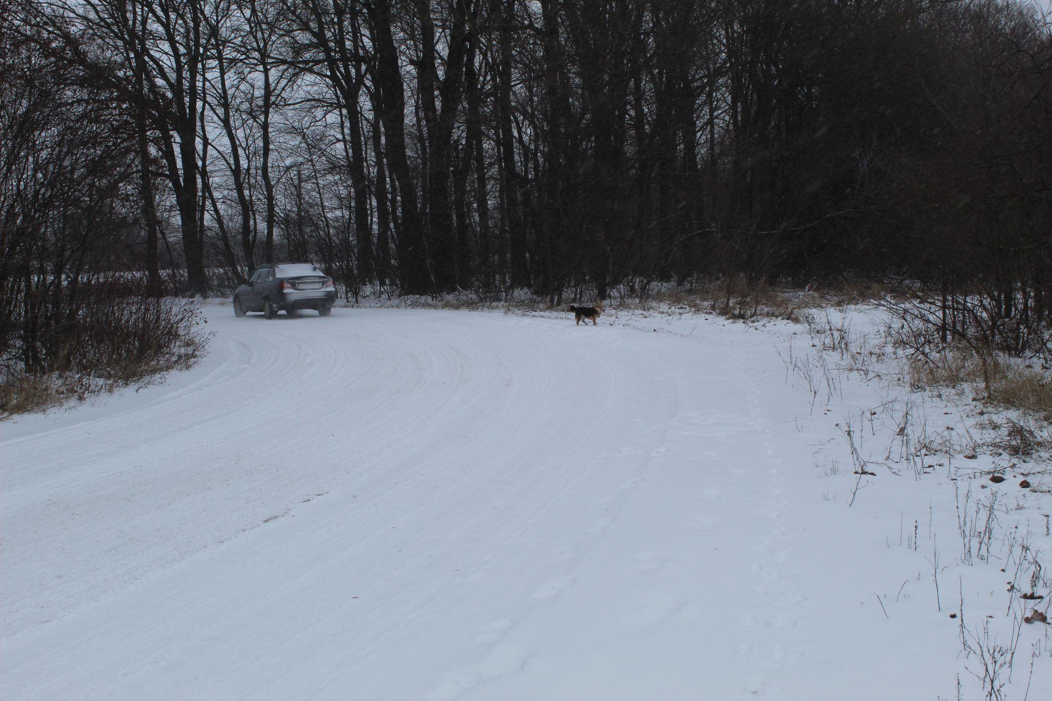 Новини Козятина - фото з Снігопад додав клопоту пішоходам, а у водіїв все добре