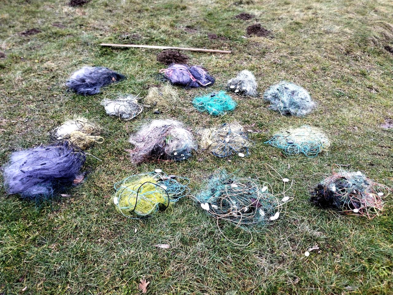 Новини Тернополя - фото з На Тернопільщині браконьєри ловили сітками червонокнижного лосося