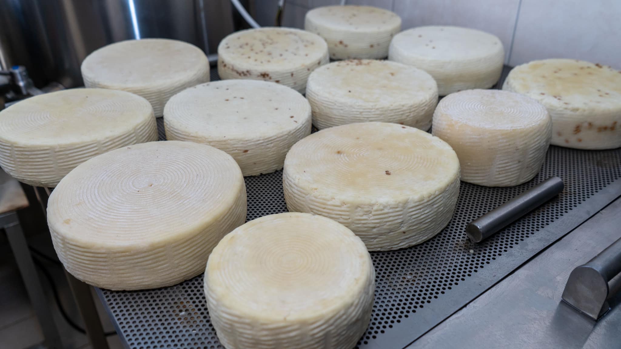 Новини Вінниці - фото з Сировар з Літина виграв два гранти на мільйон гривень. Як йому це вдалося і що радить іншим?