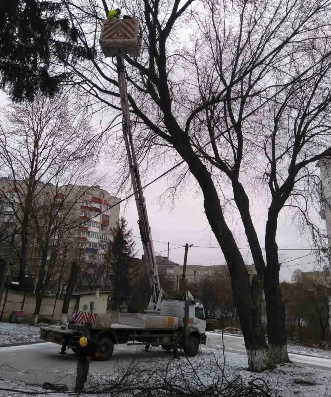 Новини Тернополя - фото з На вулиці Тарнавського обрізатимуть дерева