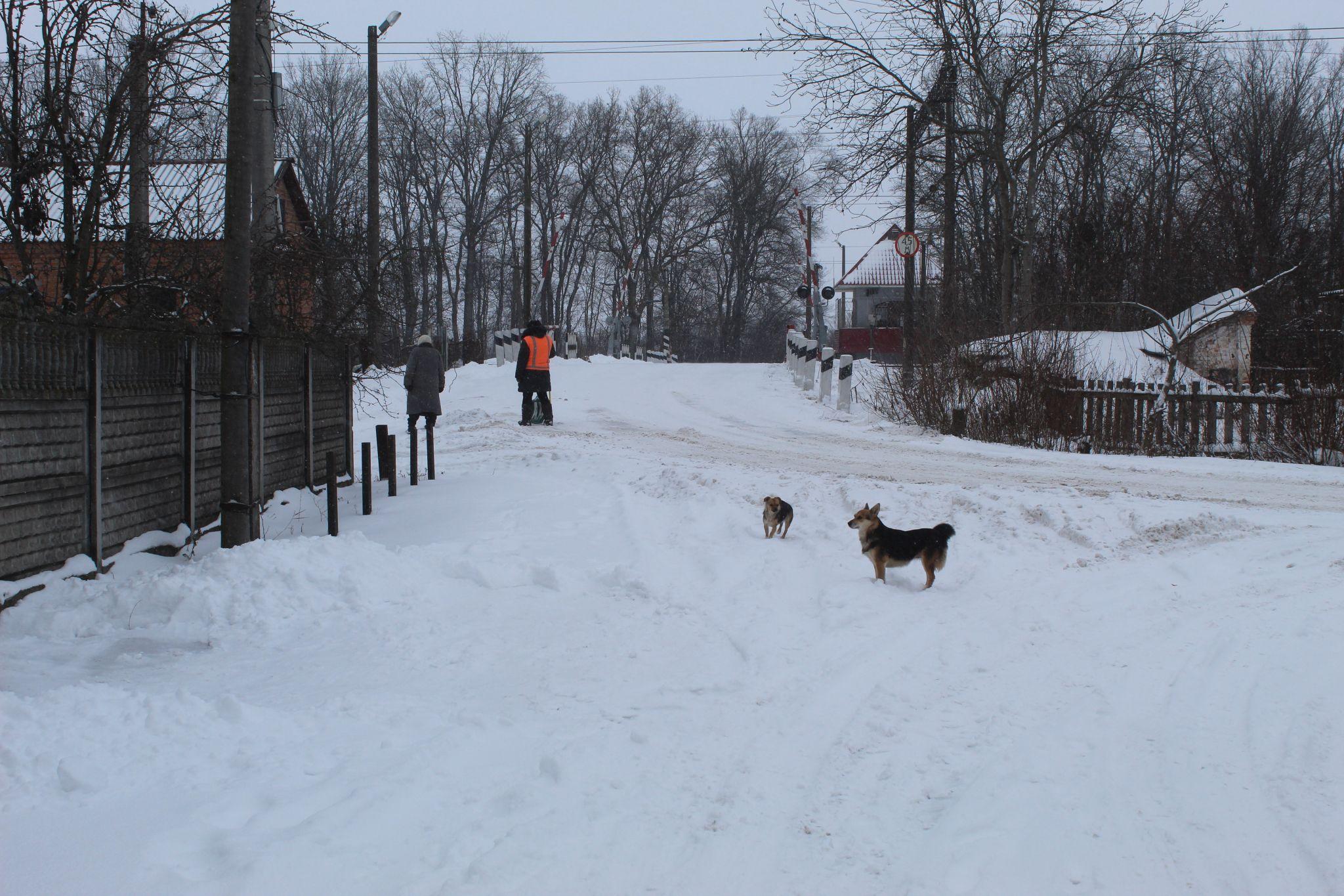 Новини Козятина - фото з Бажання зробити дороги кращими є тільки чи уміння немає чи техніка підводить