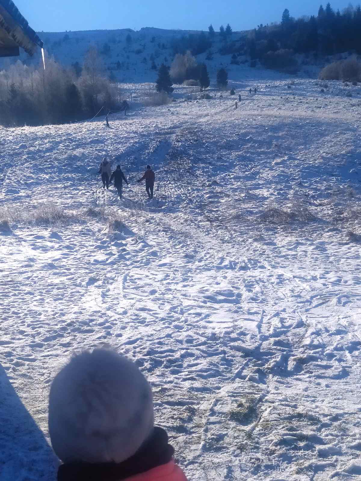 Новини Вінниці - фото з Вінничани виграли турнір «Диво-шашках в сніжних Карпатах»