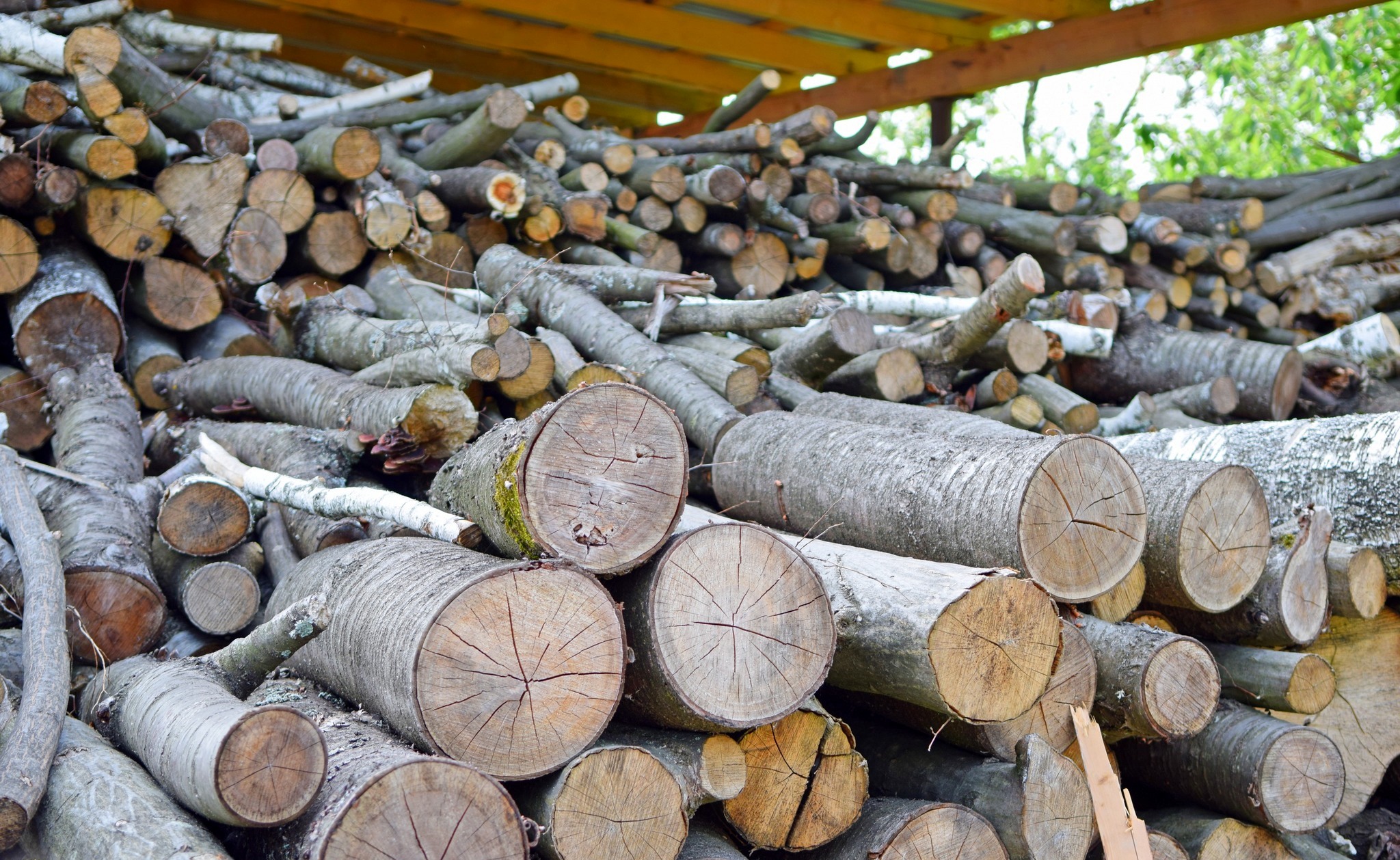 Новини Тернополя - фото з Котельні шкільних закладів на Чортківщині переводять на опалення дровами